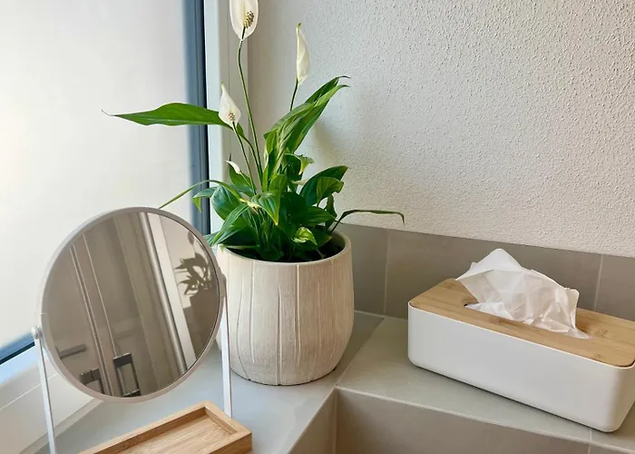 Rebenfreund * Bad Neuenahr-Ahrweiler